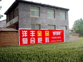 大新如何让墙体广告展现最大化效果