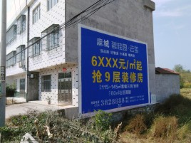 大新墙体广告质量分析