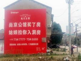 大新墙体广告在乡镇、农村市场的媒体优势
