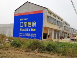 大新农村墙体广告在不同形式上面展现的不同特色