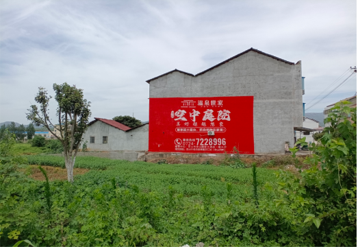 大新做墙体广告的意义