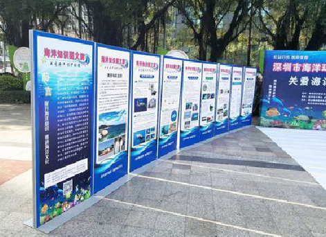 大新KT板的种类和知识。